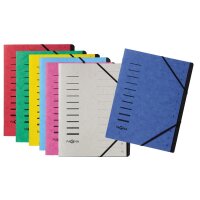 PAGNA Ordnungsmappe 40059-03 DIN A4 12Fächer Pressspankarton grün