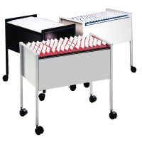 DURABLE Hängemappenwagen 100 DUO 308201 76x59,2x40cm schwarz