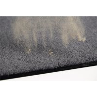 Miltex Schmutzfangmatte Eazycare Color Innenbereich 90 x...