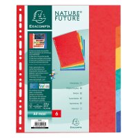 Exacompta Register XXL 2406E DIN A4 Manila-Karton 225g...