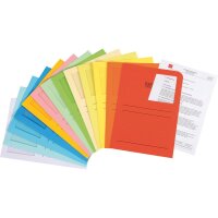 ELCO Sichtmappe Ordo classico 29489.72 A4 intensivg. 100 St/Pack