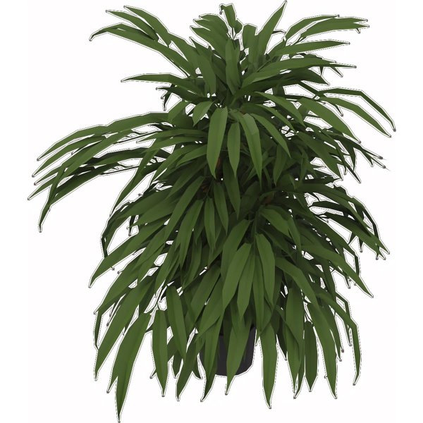 Kunstpflanze Ficus 80cm grün