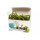 memo Gummiring Green&Fair S6738 140x4mm 120St