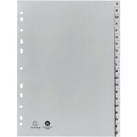 Exacompta Register 1720B DIN A4 20tlg A-Z PP grau