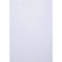 Exacompta Einbanddeckel EVERCOVER DIN A4 270g/m²...
