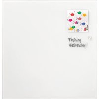FRANKEN Glasboard 120 x 120 x 0,4 cm (B x H x T) Tafel...