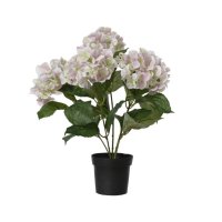 DECORIS Kunstpflanze Hortensie 28 x 46 x 28 cm (B x H x...