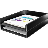 Leitz Briefkorb Duo Colour 53610095 schwarz