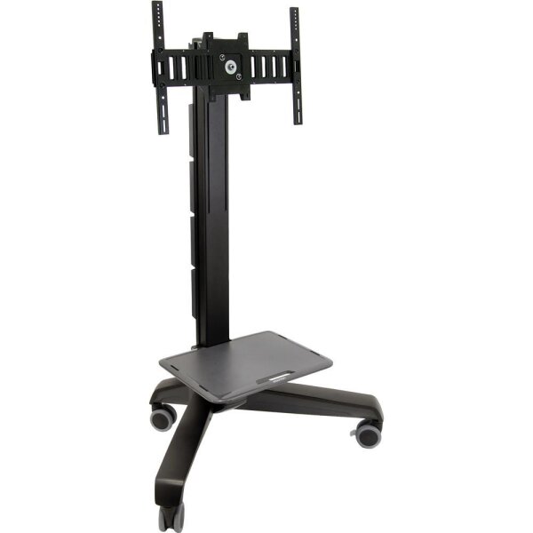 ERGOTRON Fahrwagen 24-191-085 22-41kg schwarz